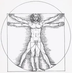 Vitruvianischer Mann